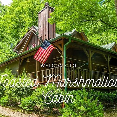 Pigeonforge Cabin Game Roomdog Friendlyhot Tub Pigeon Forge Eksteriør billede