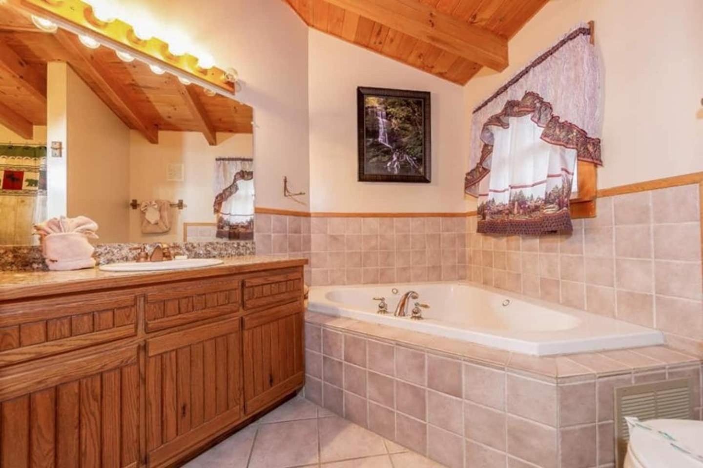 Pigeonforge Cabin Game Roomdog Friendlyhot Tub Pigeon Forge Eksteriør billede
